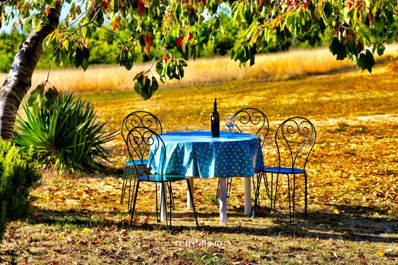 La Colle En Provence Main House Vila Sigonce Exterior foto